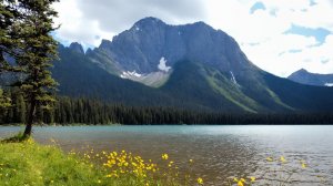 Звуки озера  Elk🌲 | Нежные звуки озера для сна и учебы — Расслабляющий пейзаж природы