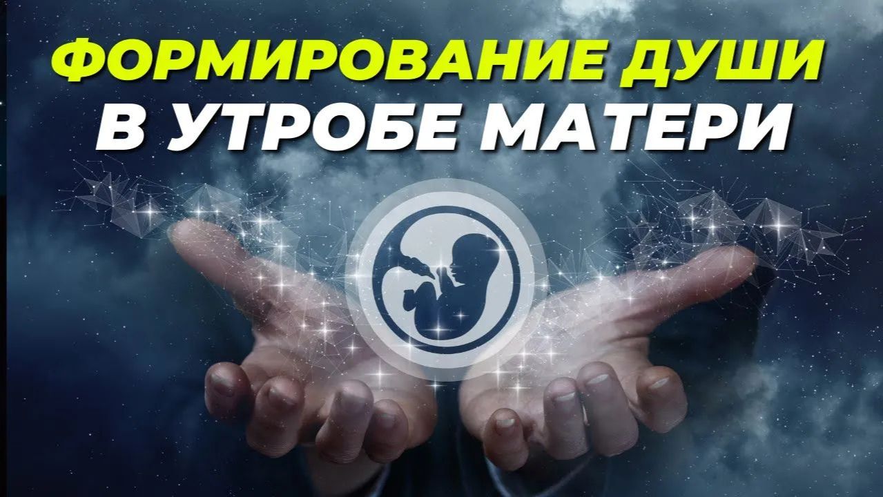 КАК ДУША ВЫБИРАЕТ ТЕЛО? ЭНЕРГЕТИЧЕСКОЕ ДРЕВО ЖИЗНИ #фитнес_сознания#фитнес_сознания смотреть онлайн