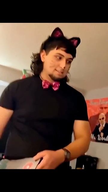 😹 Кошачьи проделки: когда питомцы шутят лучше стендаперов! смотреть онлайн