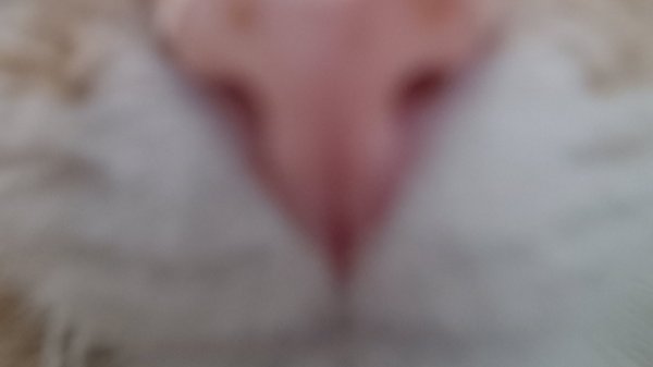 играем в майн