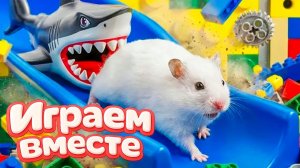 НОВЫЙ ОПАСНЫЙ ЛАБИРИНТ ДЛЯ ХРАБРОГО И УМНОГО ХОМЯКА 🐹 ВИДЕО ДЛЯ ДЕТЕЙ ! Ч.9