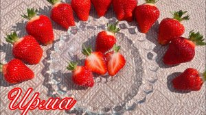 Ирма. Один из лучших нейтралов‼️ Отличник по всем показателям‼️‼️‼️