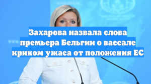 Захарова назвала слова премьера Бельгии о вассале криком ужаса от положения ЕС