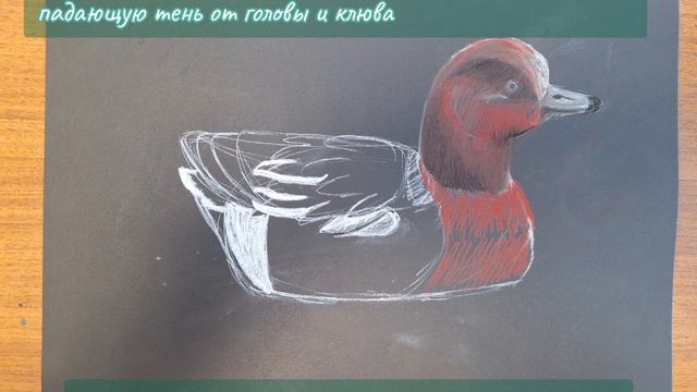 Мастер-класс преподавателя Коцюбан О.С. 