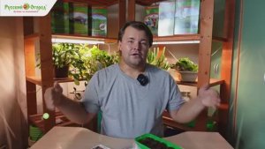 Зимний огород - свежие витамины круглый год!