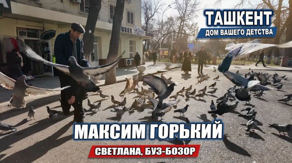 ТАШКЕНТ - ПРОГУЛКА ПО МАКСИМА ГОРЬКОГО.