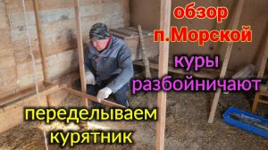 Ейск. Юра переделывает курятник. Куры оборзели. Ремонт квартиры под ключ. п. Морской...