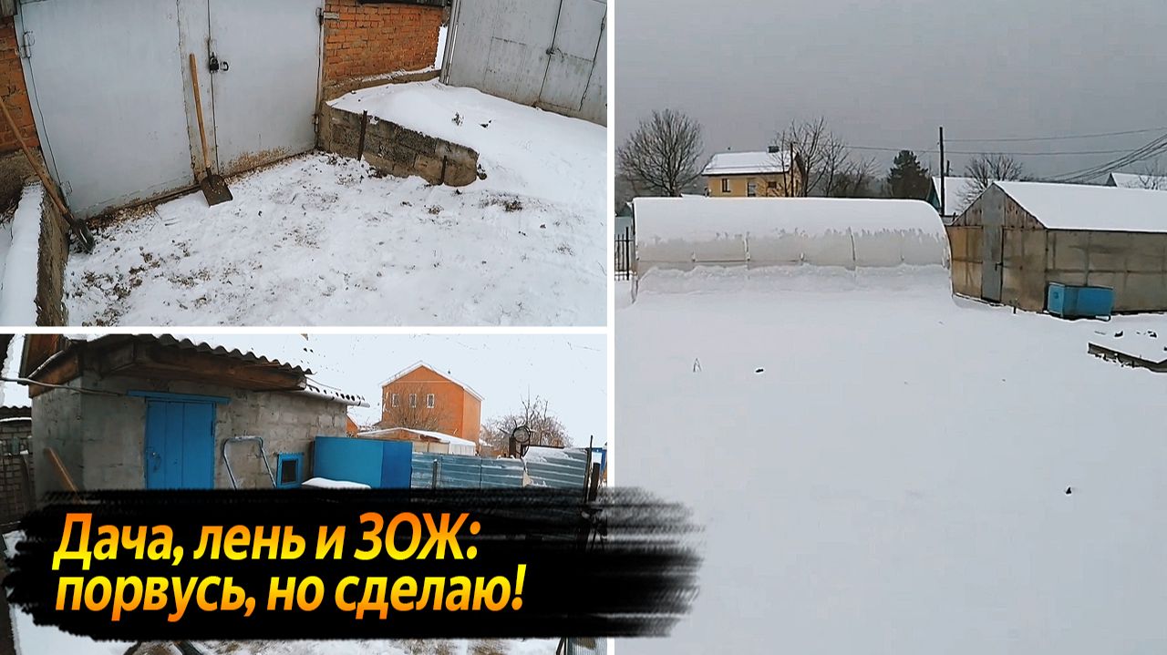 ДАЧА = ЗОЖ? ИСПОВЕДЬ ЛЕНИВОГО ГЕНИЯ | ВИДЕО КАЖДЫЙ ДЕНЬ №67