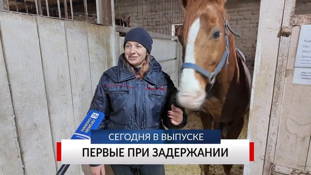 НОВОСТИ ДНЯ. Программа «Губерния», 20 января смотреть онлайн