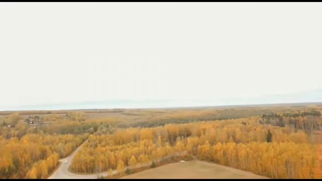 31 Dji Inspire 1 Нижегородская обл., осень, д. Бабье
