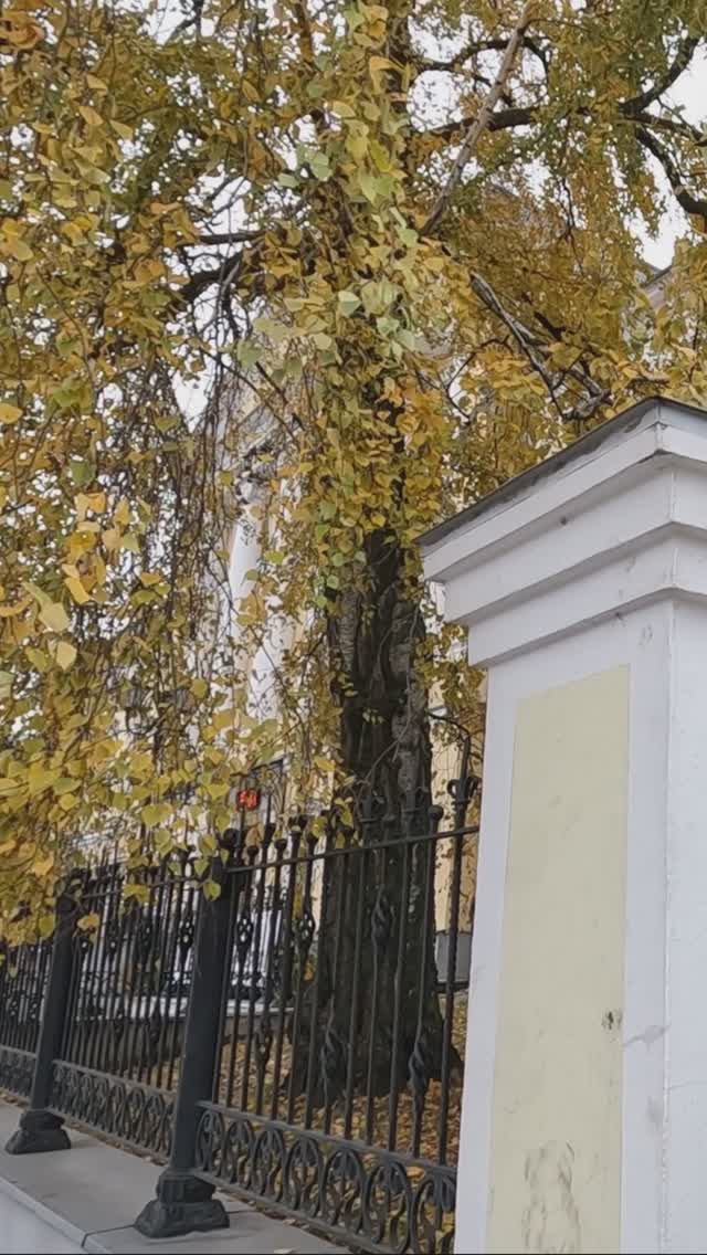 С. Есенин, А. Клюквин, №9 вар 2