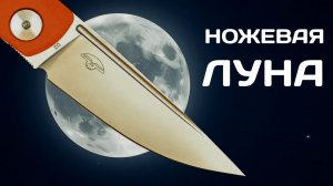 СВЕТ во ТЬМЕ "ножевых" законов - RealSteel Luna Lite