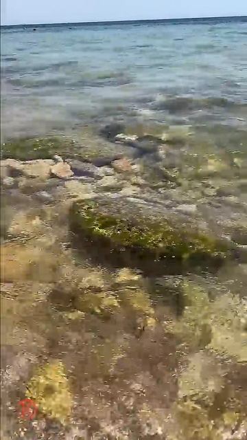 Шелест морских волн!)