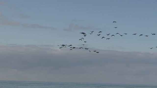 Один зимний день в Сочи смотреть онлайн