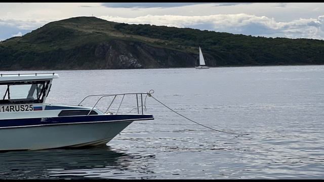 СМОТРЮ НА МИР ЗАВОРОЖЁННО смотреть онлайн