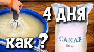 Все Тонкости Постановки Браги | Вся Правда о Гравицапе