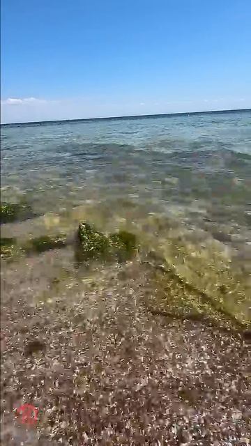 Нежный и ласковый шелест морских волн