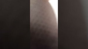 школьный прямой эфир часть 3