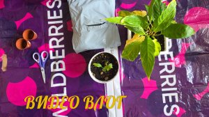 4 серия - видеоВлог - 20.01.26