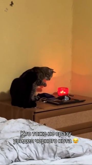 MOV_20260121_155146_433.mp4