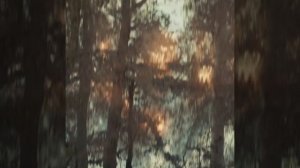 Гренландия 2: Миграция (2026) Greenland: Migration