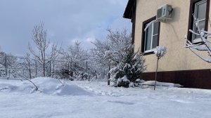 ВЛОГ В магазине цены шок ❗️ Все замерзло у животных ❄️ Ждем