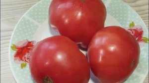 Минусинские сорта томатов. Новинки этого сезона. г. Киров  т. 89229284031