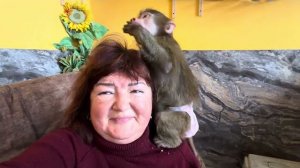 ВПЕРВЫЕ мы соединяем вместе Анфису, Люсю, Степу и Маню-Анфиса не хочет жить в стае❤️