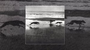 Bella1999 - Переживаем зимы (Официальная премьера трека)