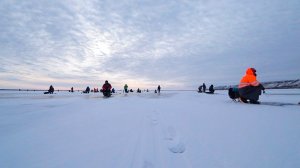 Нашли судака на мотоциклах. Попали на жор!