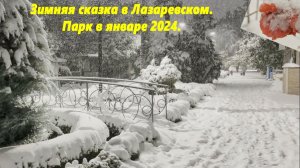Зимняя сказка в Лазаревском! Парк в январе 2026!