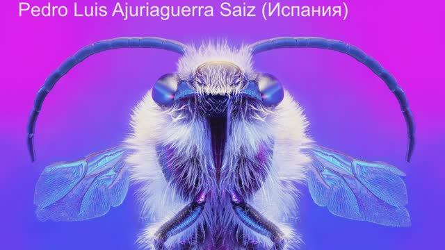 Об итогах Photographers of the Year 2024 смотреть онлайн