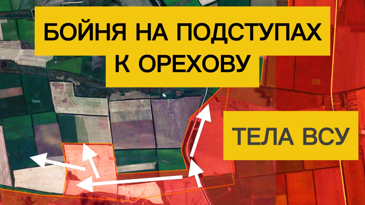 Бойня на оборонительном рубеже: гр.Восток отбивает атаки ВСУ! Военные сводки 21.01.2026 смотреть онлайн