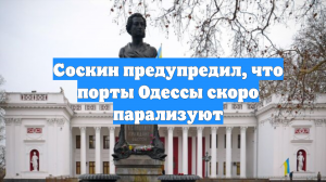 Соскин предупредил, что порты Одессы скоро парализуют