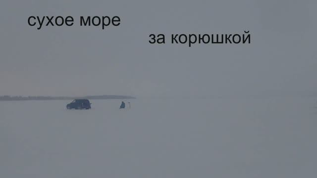 сухое море за корюшкой смотреть онлайн