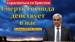 Жизнь и смерть во Христе ❤️🙏 Проповедь МСЦ ЕХБ