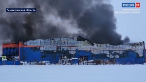 ВЕСТИ 24  Санкт-Петербург от 21.01.2026