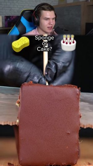 Сможешь Угадать: Губка Или Торт?🍰 🧽 #shorts #шортс #челлендж #выбор #прикол #мем #шутка #юмор #тес