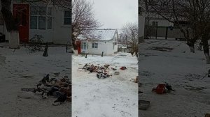 Сальский район ростовская область (89895013708) Андрей