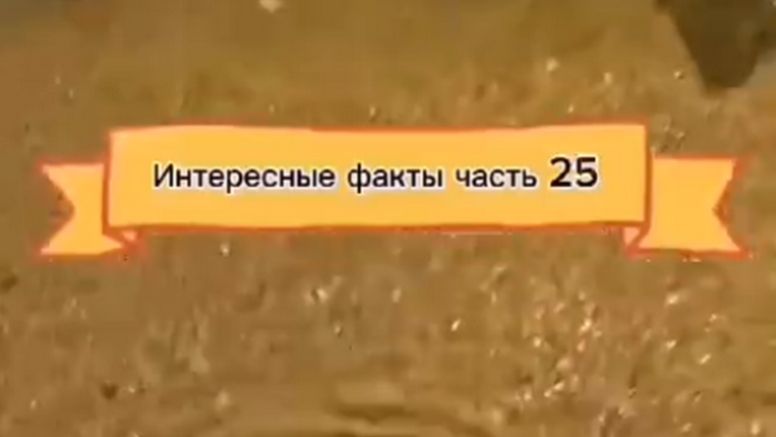 Интересные факты (часть 25)
