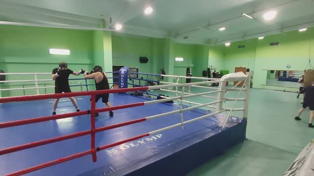 Тренировка 20.01.2026 смотреть онлайн