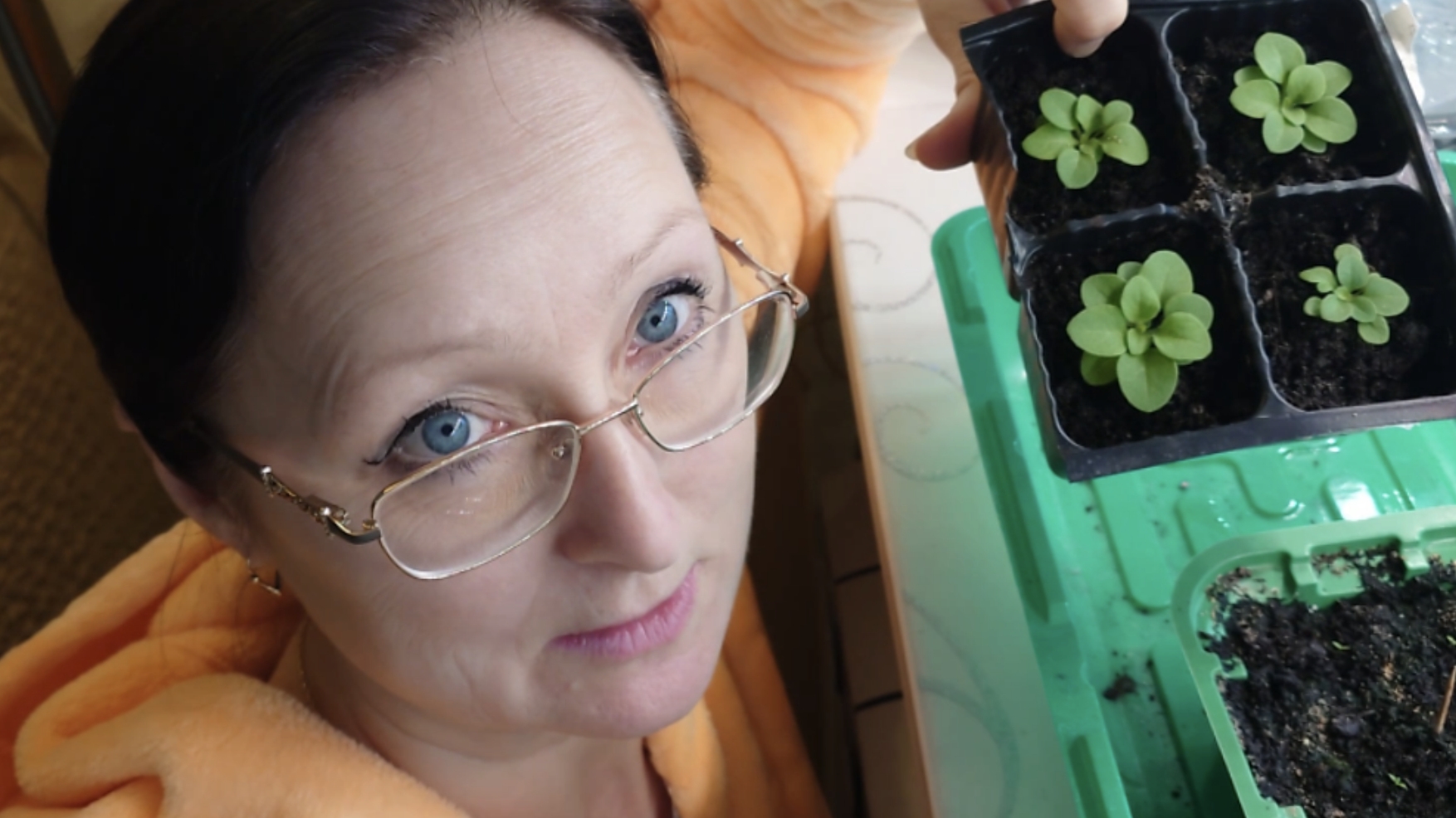 21.01.2026 Эустома 24 дня от посева. Петуния 2 месяца от посева. Лампа на солнечной батарее. смотреть онлайн