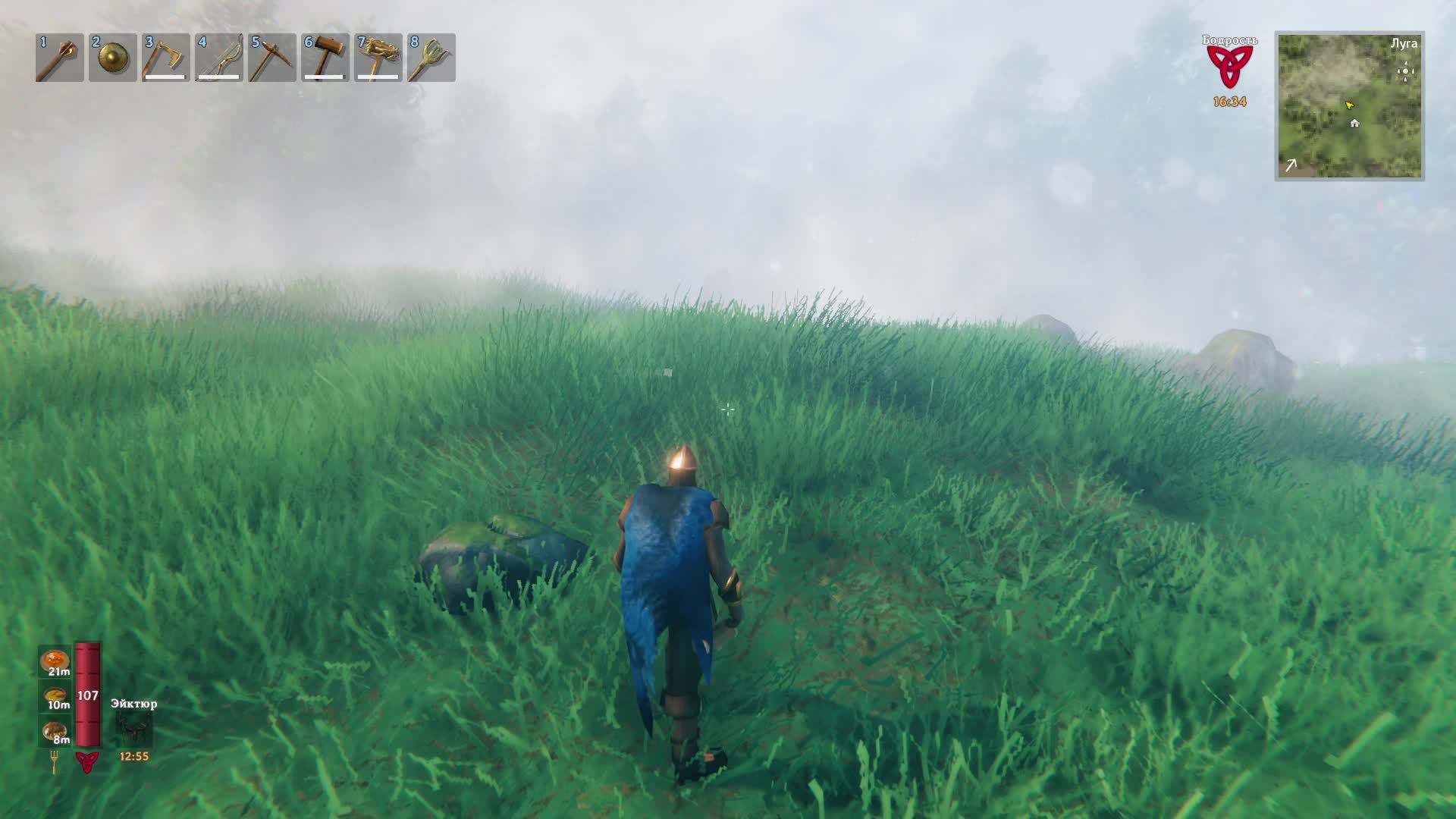 Продолжаем проходить Вальхейм