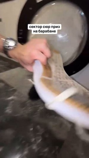 Да просто разносить