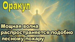 Мощная волна распространяется подобно лесному пожару -  Оракул