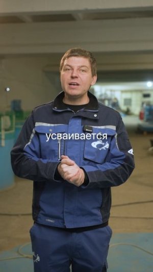 Сельдь — рыба-суперфуд за копейки! Белка как в форели, укрепляет кости и мышцы.