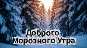 Доброго Морозного Утра Открытки Красивые!