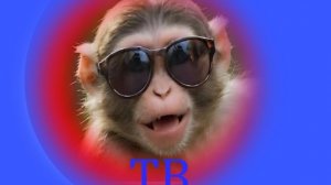 ТАКСИСТ(журналист) выживающий без продуктов