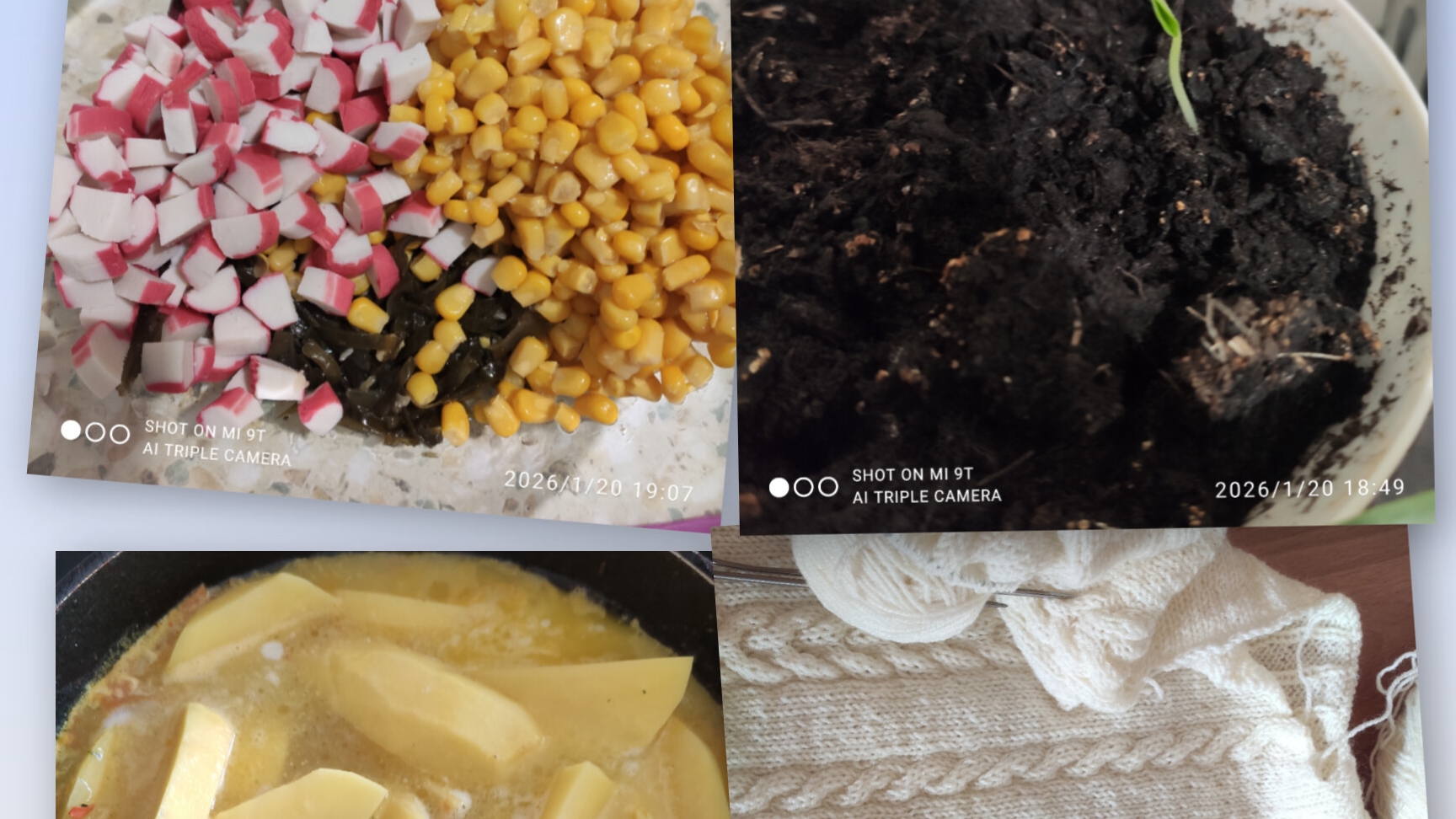 Начала вязать рукава у свитера, приготовила кушать. Пророс огурчик.20-21.01.2026 г.