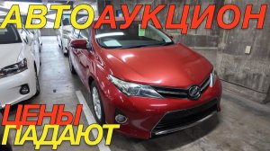 ЯПОНСКИЕ НАРОДНЫЕ АВТО / TOYOTA COROLLA TOURING AURIS AUDI A3 SUZUKI JIMNY NOMADE HONDA STEPWGN